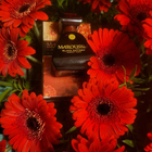 Отзыв Slava Zaitsev Maroussia