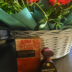 Отзывы Slava Zaitsev Maroussia