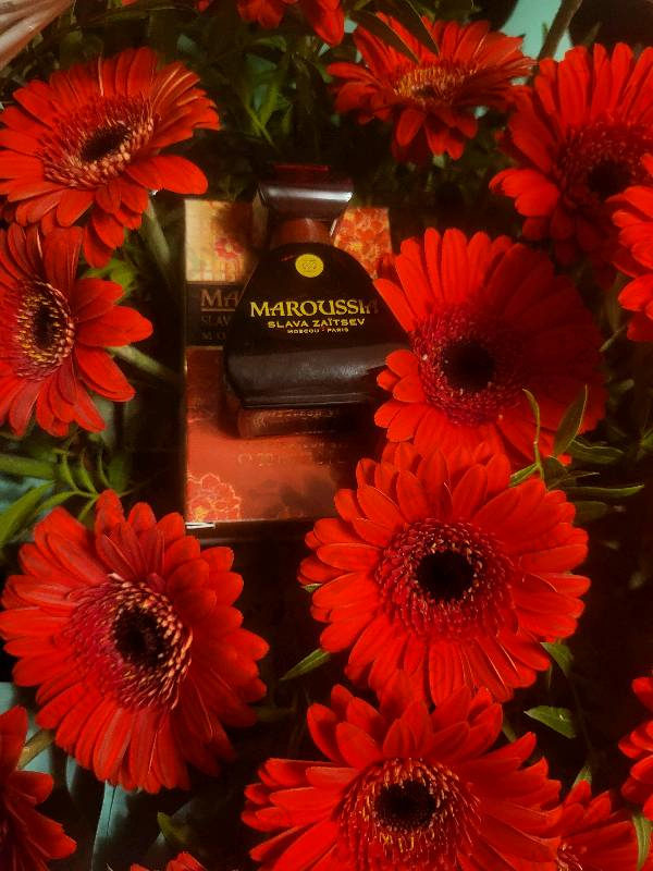 Отзыв Slava Zaitsev Maroussia