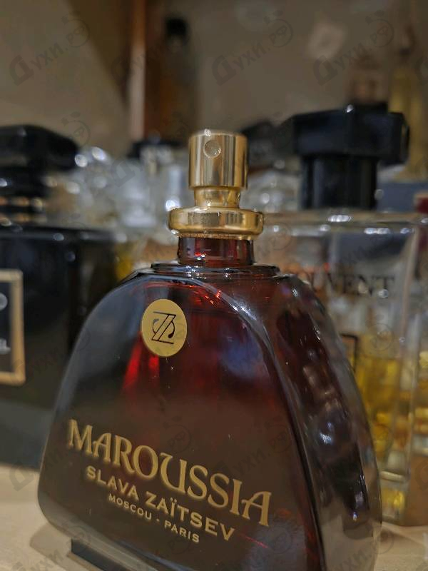 Купить Slava Zaitsev Maroussia