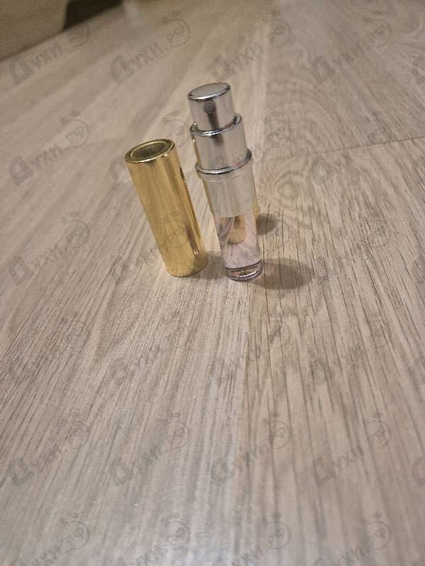 Купить Stella от Stella Mccartney