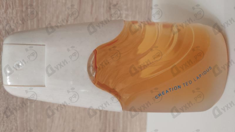 Купить Creation от Ted Lapidus