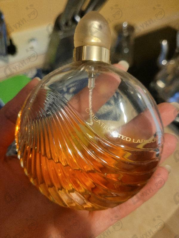 Парфюмерия Creation от Ted Lapidus