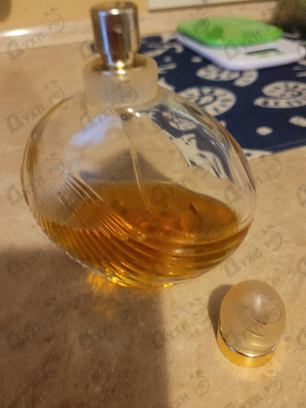 Отзыв Ted Lapidus Creation