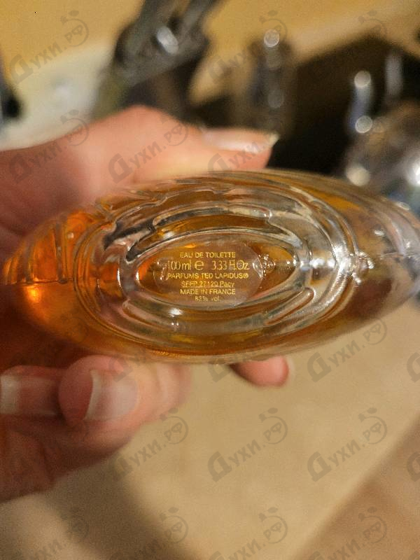 Купить Creation от Ted Lapidus