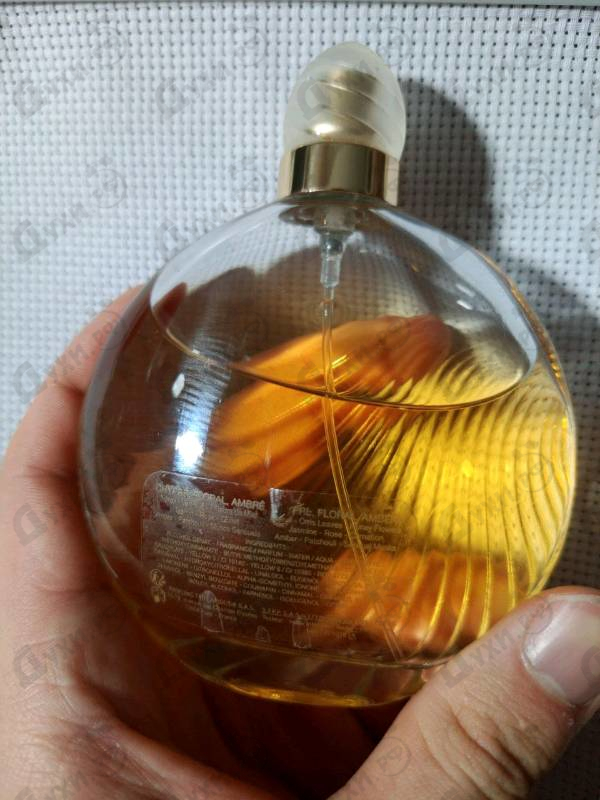 Купить Ted Lapidus Creation