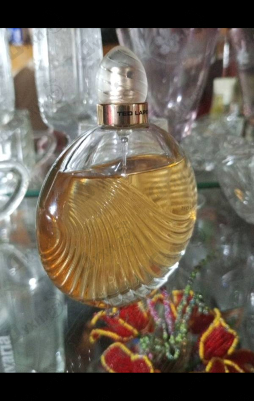 Купить Creation от Ted Lapidus