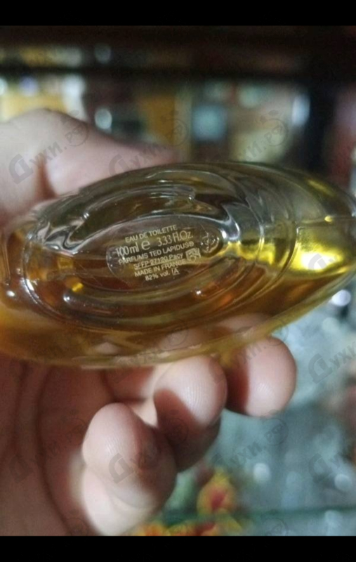 Купить Creation от Ted Lapidus