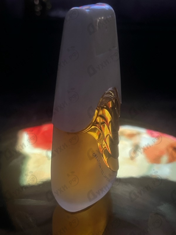 Купить Ted Lapidus Creation