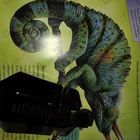 Отзыв Thierry Mugler Alien