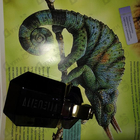 Отзыв Thierry Mugler Alien