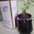 Отзывы Thierry Mugler Alien Купить Alien от Thierry Mugler