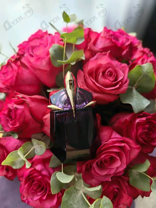 Парфюмерия Thierry Mugler Alien