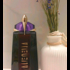 Купить Alien от Thierry Mugler