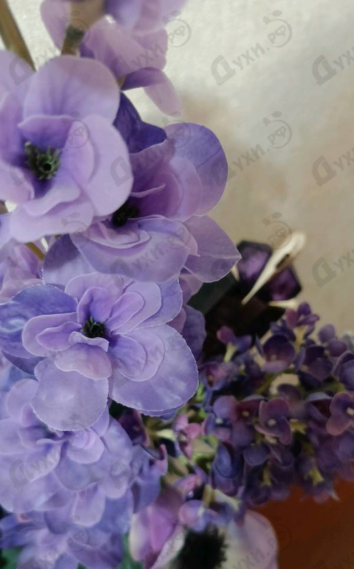 Парфюмерия Alien от Thierry Mugler