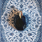 Парфюм Thierry Mugler Alien