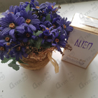 Отзывы Thierry Mugler Alien