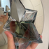 Купить Angel от Thierry Mugler