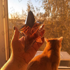 Отзывы Thierry Mugler Angel