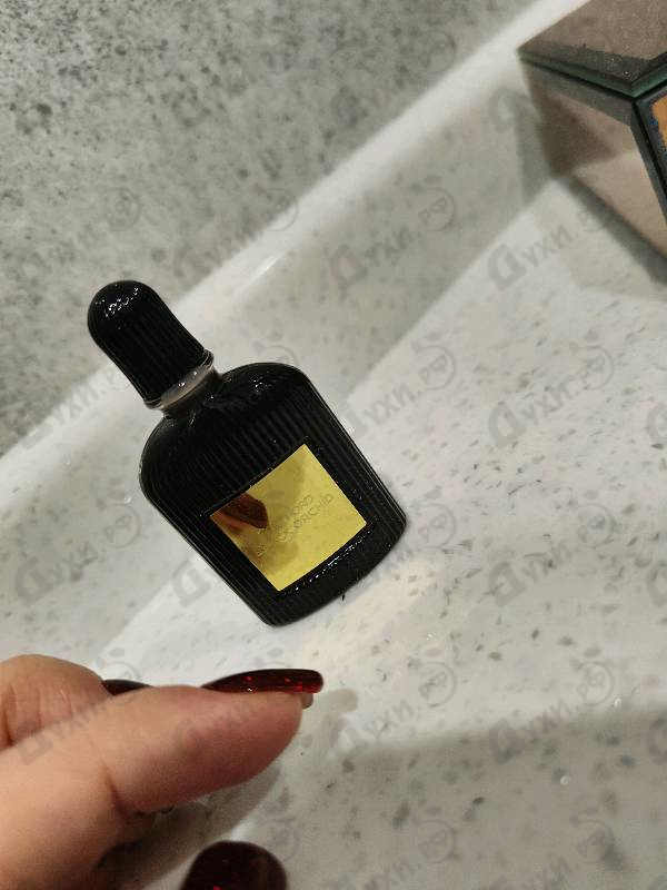 Парфюмерия Black Orchid от Tom Ford