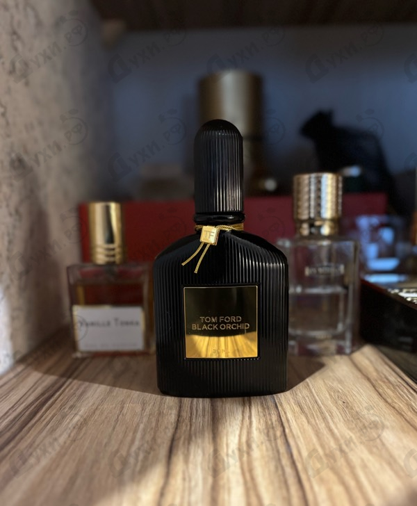 Парфюмерия Black Orchid от Tom Ford