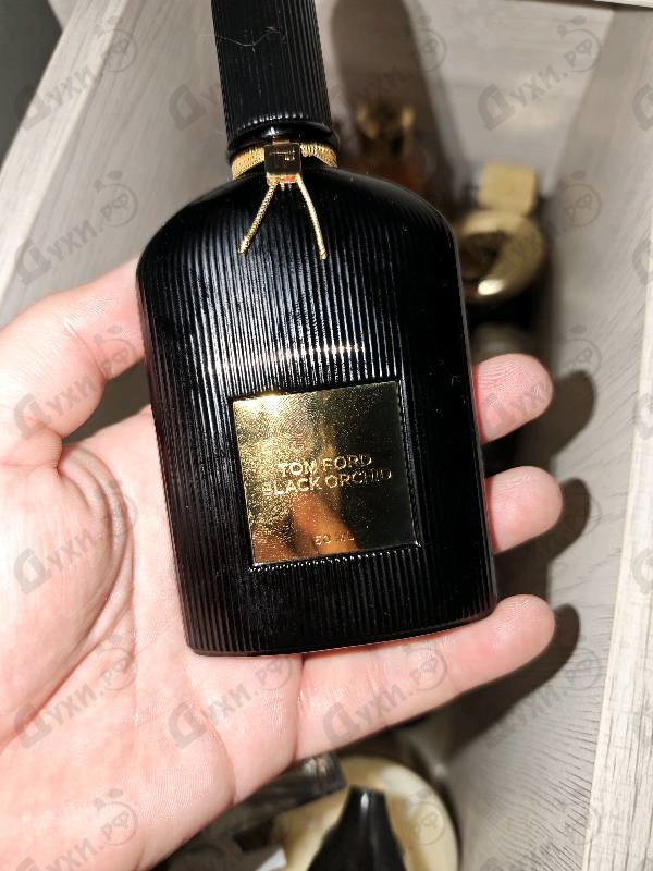 Духи Black Orchid от Tom Ford
