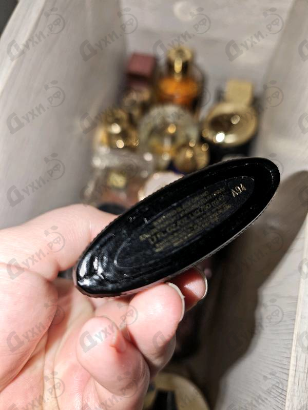 Парфюмерия Black Orchid от Tom Ford