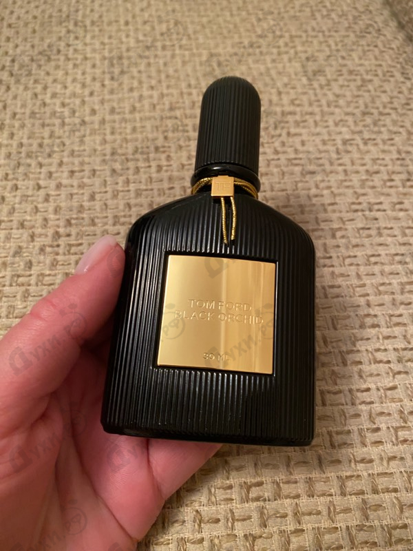 Отзывы Tom Ford Black Orchid