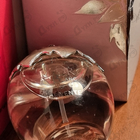 Отзывы Torrente L'or Blanc