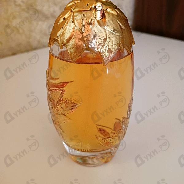 Духи L'or De Torrente от Torrente