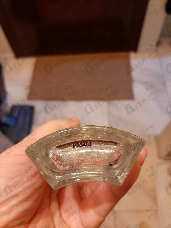 Купить Tous Women