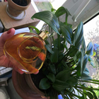 Отзывы Van Cleef & Arpels First