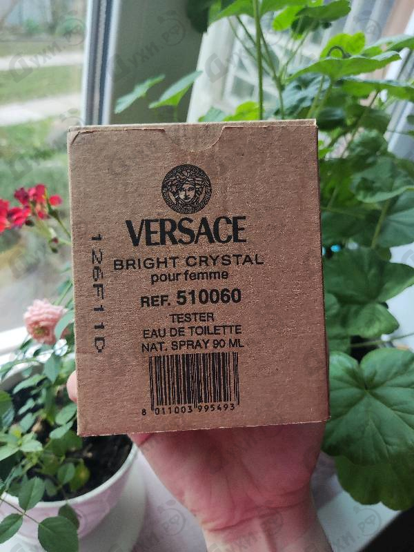 Купить Bright Crystal от Versace