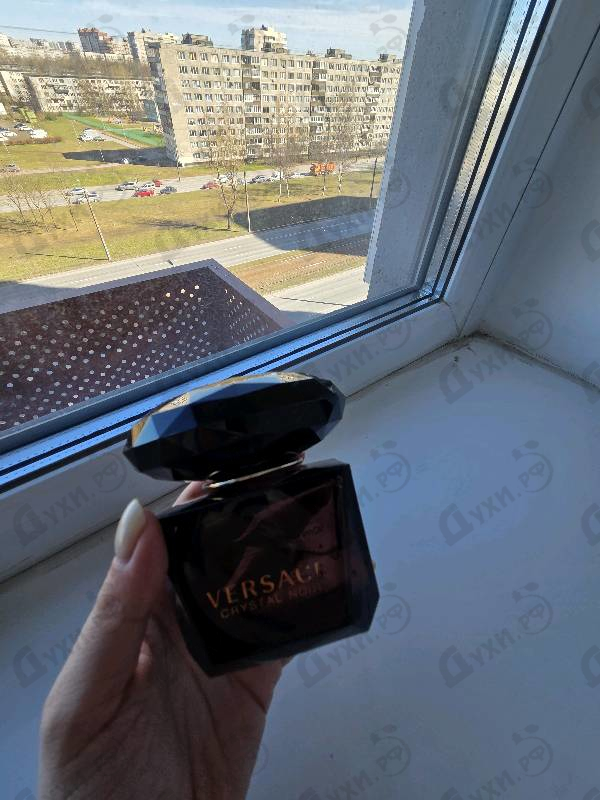 Купить Crystal Noir от Versace