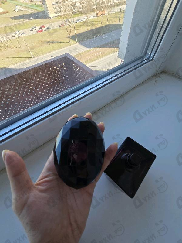 Купить Crystal Noir от Versace