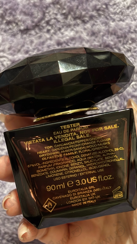 Купить Crystal Noir от Versace