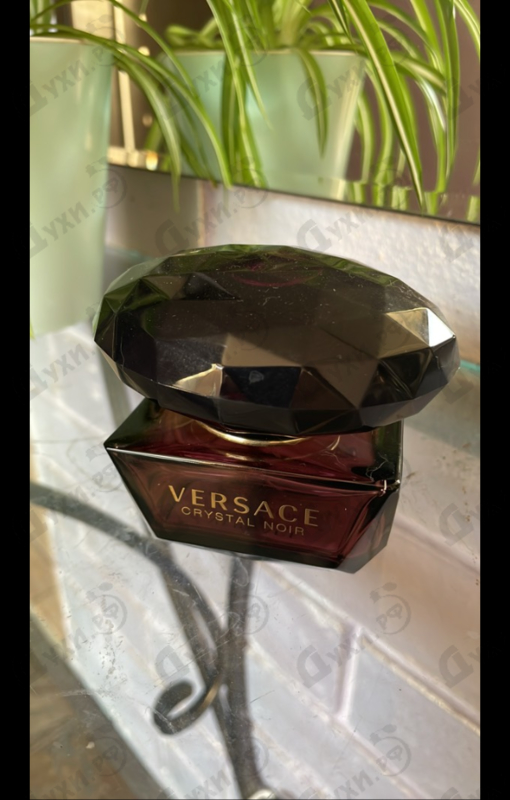 Отзывы Versace Crystal Noir