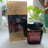 Отзывы Versace Crystal Noir Купить Crystal Noir от Versace