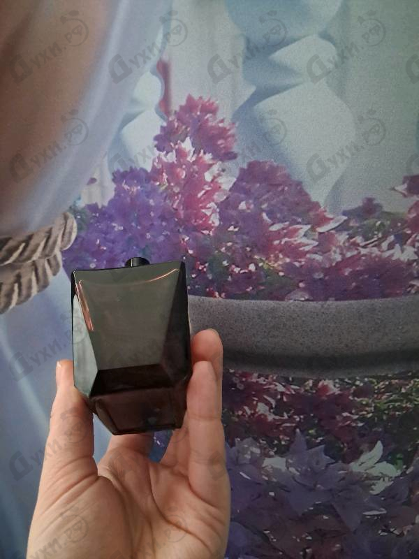 Парфюмерия Crystal Noir от Versace