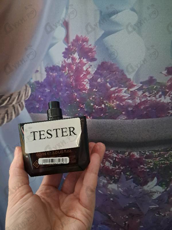 Парфюмерия Crystal Noir от Versace