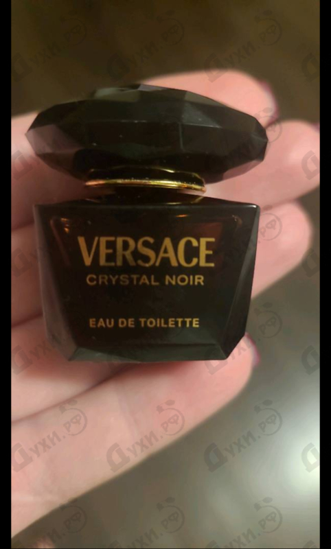 Купить Crystal Noir от Versace