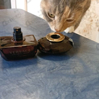 Отзыв Versace Crystal Noir