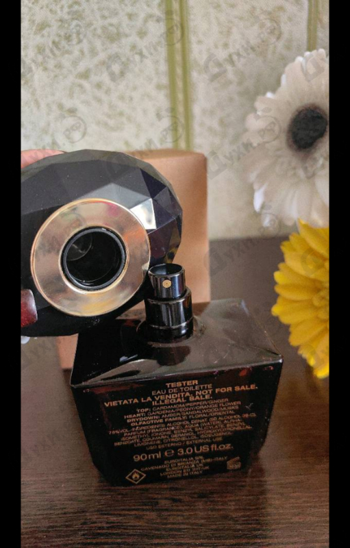 Парфюмерия Versace Crystal Noir