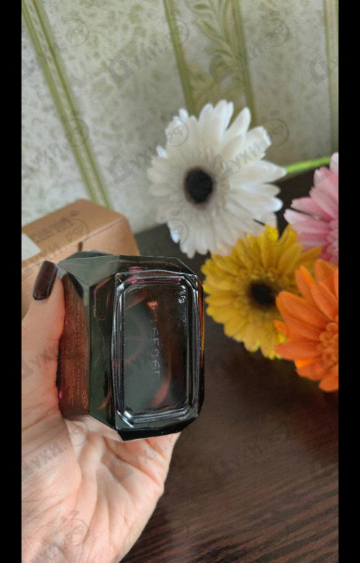 Купить Crystal Noir от Versace