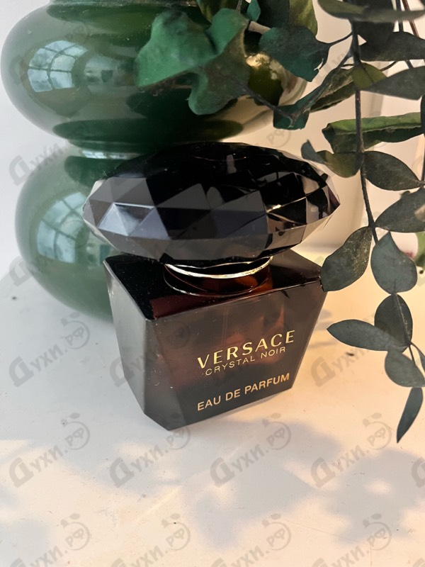 Купить Crystal Noir от Versace