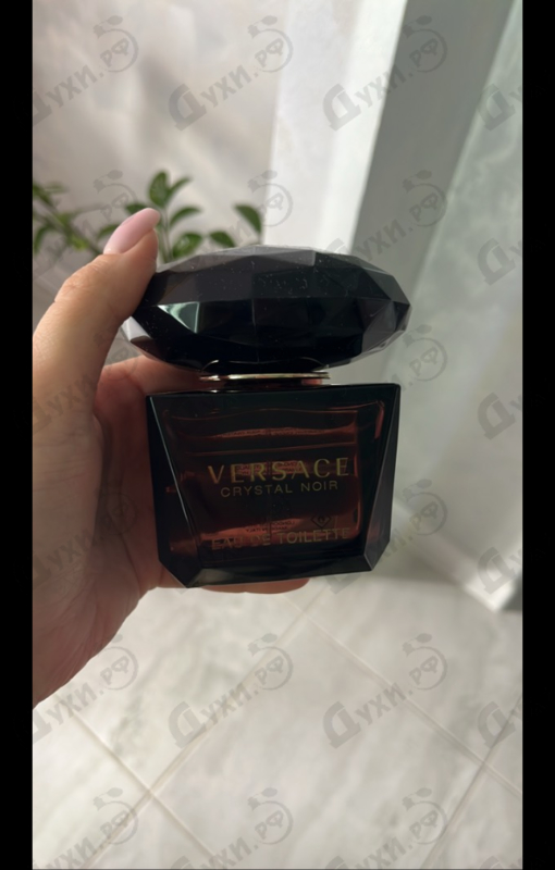 Купить Versace Crystal Noir