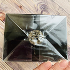 Отзыв Versace Crystal Noir