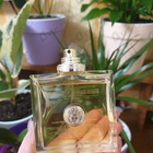 Отзывы Versace Versace