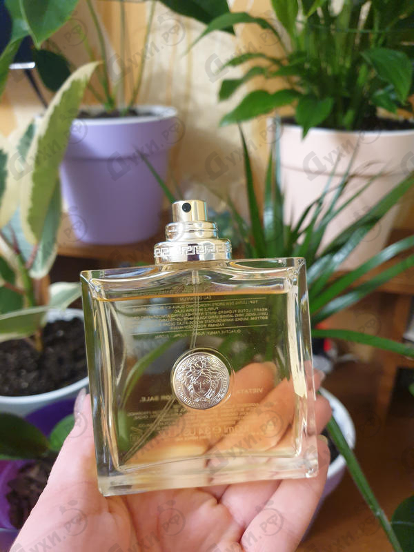 Отзыв Versace Versace Парфюмерия Versace от Versace