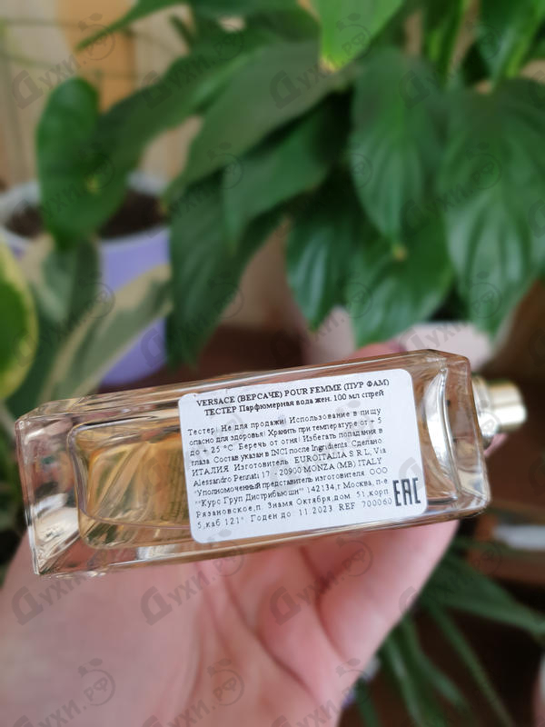 Купить Versace от Versace